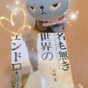 ヒメ日記 2026/10/07 23:45 投稿 弓田 さくら 30代40代50代と遊ぶなら博多人妻専科24時