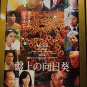 ヒメ日記 2025/11/05 16:07 投稿 桜井 あなたに逢いたくて