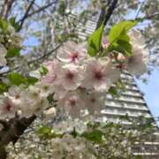 ヒメ日記 2025/03/28 12:49 投稿 ちよ 横浜秘密倶楽部