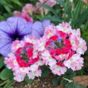 ヒメ日記 2025/06/08 23:32 投稿 ちよ 横浜秘密倶楽部