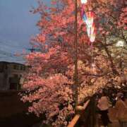 ヒメ日記 2026/03/31 18:45 投稿 ちよ 横浜秘密倶楽部