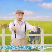 ヒメ日記 2025/10/26 16:09 投稿 ほの チューリップ土浦店