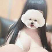 ヒメ日記 2025/03/06 15:01 投稿 みんと 完全密室 無抵抗