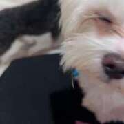 ヒメ日記 2025/04/12 12:07 投稿 みんと 完全密室 無抵抗