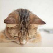 あこ お久しぶりです 横浜ミセスアロマ（ユメオト）