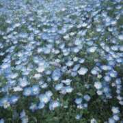 あこ お礼 横浜ミセスアロマ（ユメオト）