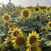 あこ 8月 横浜ミセスアロマ（ユメオト）