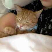 ヒメ日記 2025/05/24 12:53 投稿 四葉　たまき YUDEN〜油殿〜谷九・日本橋店