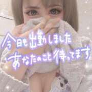 ヒメ日記 2025/03/22 11:08 投稿 阿子（あこ） 今日、私はあなたの部下（マーベリックグループ）