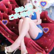 ヒメ日記 2025/03/29 11:08 投稿 阿子（あこ） 今日、私はあなたの部下（マーベリックグループ）