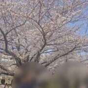 ヒメ日記 2025/04/12 14:38 投稿 阿子（あこ） 今日、私はあなたの部下（マーベリックグループ）