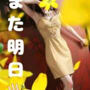 ヒメ日記 2025/04/24 19:28 投稿 阿子（あこ） 今日、私はあなたの部下（マーベリックグループ）