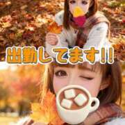 ヒメ日記 2025/12/21 12:18 投稿 阿子（あこ） 今日、私はあなたの部下（マーベリックグループ）