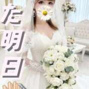 ヒメ日記 2025/12/27 20:18 投稿 阿子（あこ） 今日、私はあなたの部下（マーベリックグループ）