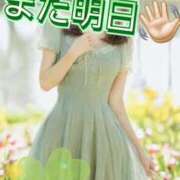 ヒメ日記 2026/08/29 18:48 投稿 阿子（あこ） 今日、私はあなたの部下（マーベリックグループ）