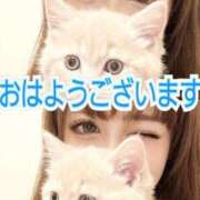 ヒメ日記 2026/08/30 12:18 投稿 阿子（あこ） 今日、私はあなたの部下（マーベリックグループ）