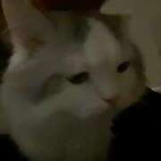 ヒメ日記 2025/03/05 11:13 投稿 ありあ TOKYO BUNNYS CLUB