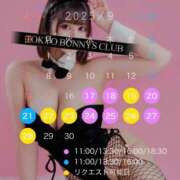 ヒメ日記 2025/09/16 19:04 投稿 ありあ TOKYO BUNNYS CLUB
