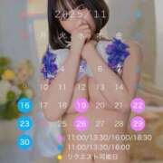 ありあ 11月スケジュール🗓 TOKYO BUNNYS CLUB