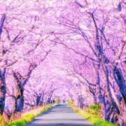 ヒメ日記 2025/03/30 11:33 投稿 ちひろ 治療院.LOVE小山店