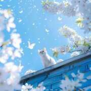 ヒメ日記 2025/04/17 17:57 投稿 ちひろ 治療院.LOVE小山店