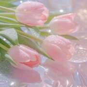 ヒメ日記 2025/04/25 10:12 投稿 ちひろ 治療院.LOVE小山店