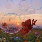 ヒメ日記 2025/05/16 18:18 投稿 ちひろ 治療院.LOVE小山店