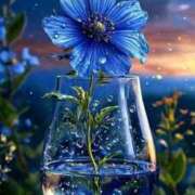 ヒメ日記 2025/06/27 10:12 投稿 ちひろ 治療院.LOVE小山店