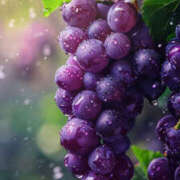 ヒメ日記 2025/08/30 20:06 投稿 ちひろ 治療院.LOVE小山店