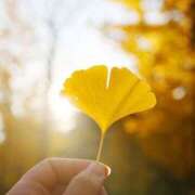 ヒメ日記 2025/11/30 12:12 投稿 ちひろ 治療院.LOVE小山店