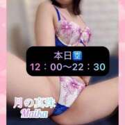 ヒメ日記 2025/02/08 09:18 投稿 三谷まいか 月の真珠-新宿-