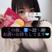 ヒメ日記 2025/02/08 14:28 投稿 三谷まいか 月の真珠-新宿-