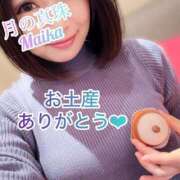 ヒメ日記 2025/02/10 17:10 投稿 三谷まいか 月の真珠-新宿-