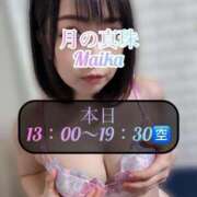 ヒメ日記 2025/02/26 09:18 投稿 三谷まいか 月の真珠-新宿-