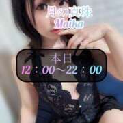 ヒメ日記 2025/03/14 10:50 投稿 三谷まいか 月の真珠-新宿-