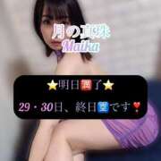 ヒメ日記 2025/03/26 20:38 投稿 三谷まいか 月の真珠-新宿-