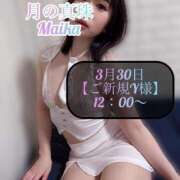 ヒメ日記 2025/03/31 14:22 投稿 三谷まいか 月の真珠-新宿-