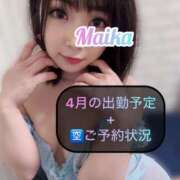 ヒメ日記 2025/03/31 19:18 投稿 三谷まいか 月の真珠-新宿-