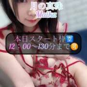 ヒメ日記 2025/04/04 09:40 投稿 三谷まいか 月の真珠-新宿-