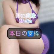 ヒメ日記 2025/04/05 10:48 投稿 三谷まいか 月の真珠-新宿-