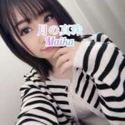 ヒメ日記 2025/04/06 11:41 投稿 三谷まいか 月の真珠-新宿-