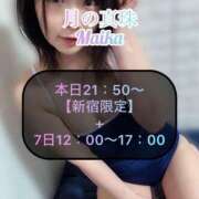 ヒメ日記 2025/04/06 14:48 投稿 三谷まいか 月の真珠-新宿-