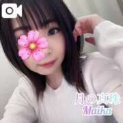 ヒメ日記 2025/04/10 13:18 投稿 三谷まいか 月の真珠-新宿-