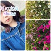 ヒメ日記 2025/04/21 17:48 投稿 三谷まいか 月の真珠-新宿-