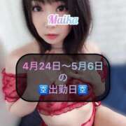 ヒメ日記 2025/04/21 21:48 投稿 三谷まいか 月の真珠-新宿-