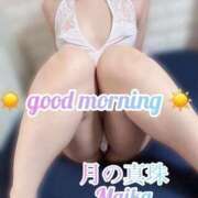 ヒメ日記 2025/04/22 10:58 投稿 三谷まいか 月の真珠-新宿-