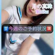 ヒメ日記 2025/04/23 11:11 投稿 三谷まいか 月の真珠-新宿-