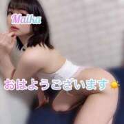 ヒメ日記 2025/04/24 09:48 投稿 三谷まいか 月の真珠-新宿-