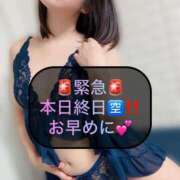 ヒメ日記 2025/04/27 10:08 投稿 三谷まいか 月の真珠-新宿-