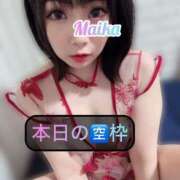 ヒメ日記 2025/05/01 10:18 投稿 三谷まいか 月の真珠-新宿-